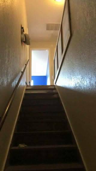 12957272_10153691295252869_487445741_n