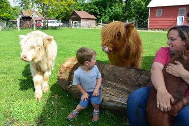 13350385_1290462714316842_2598084534320177322_o